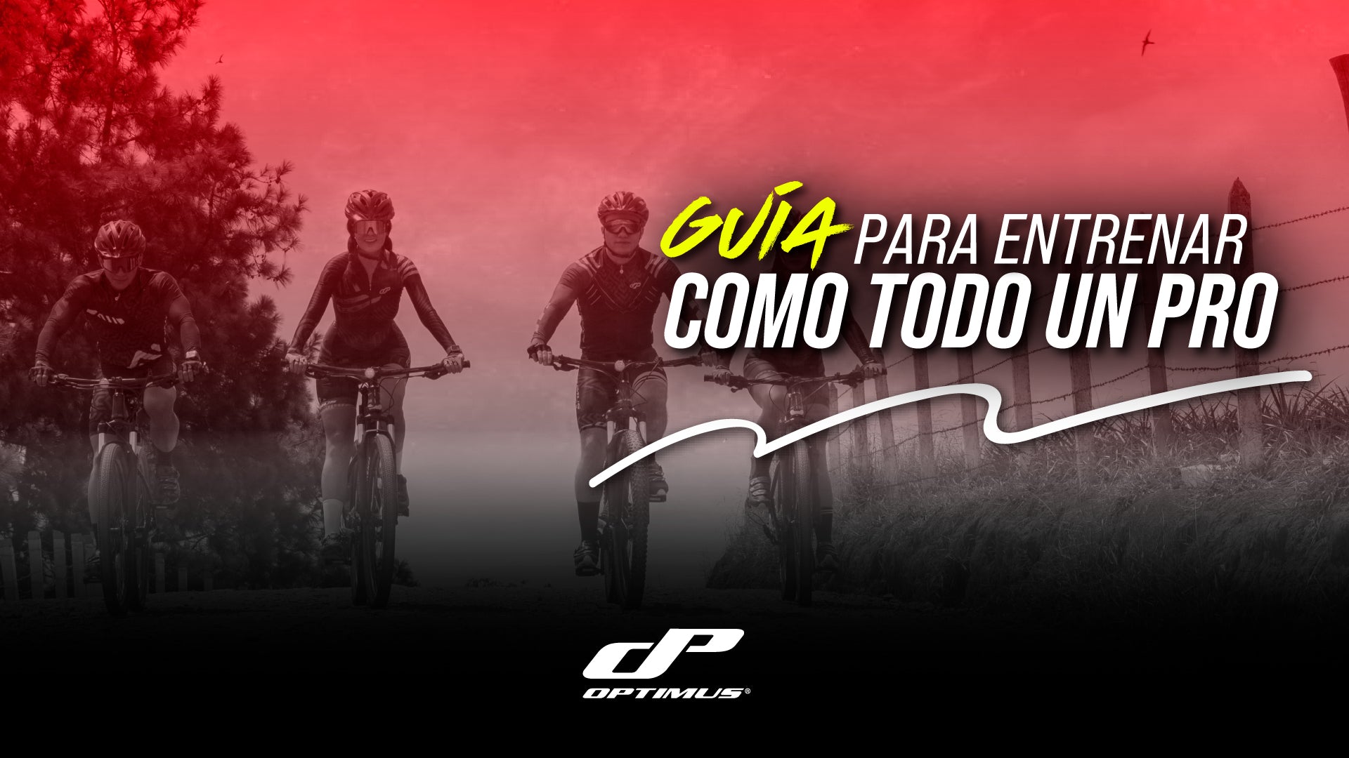 Guía para entrenar como un profesional del ciclismo