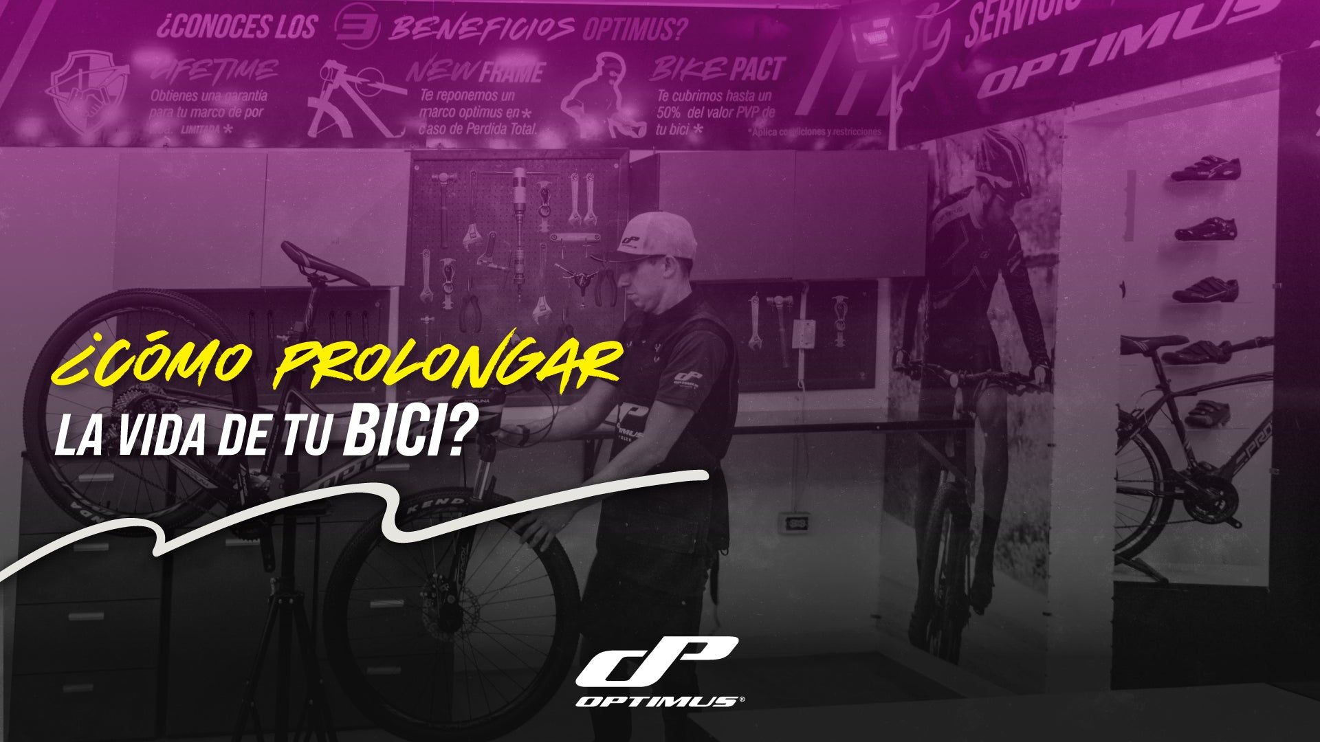 La vida de tu Bicicleta