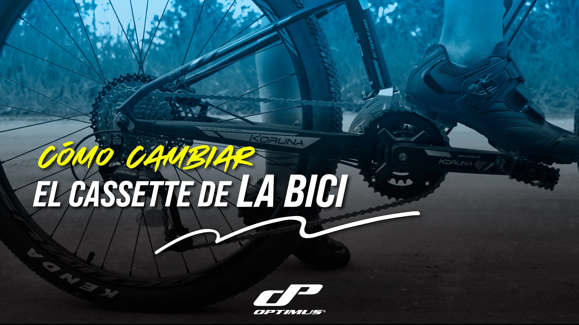Cassette de la bicicleta
