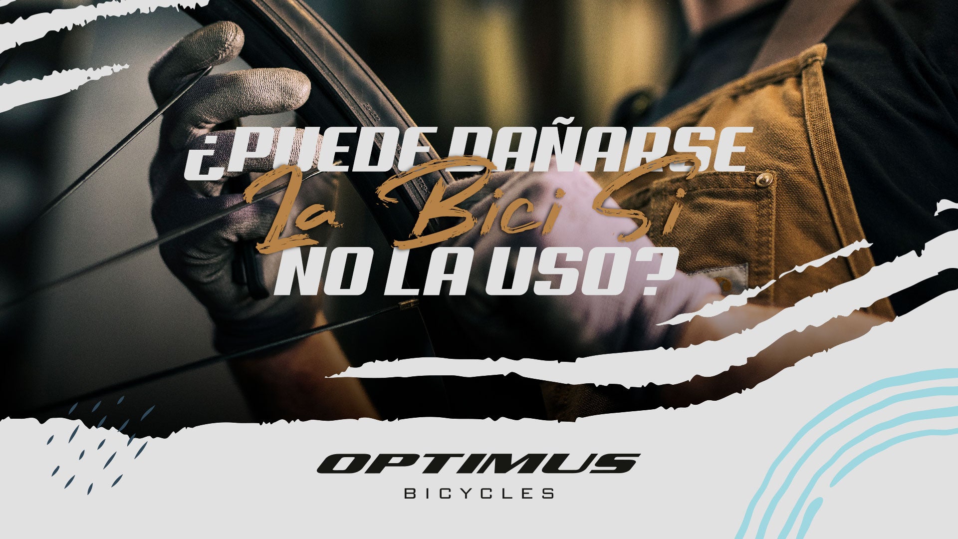 ¿PUEDE DAÑARSE LA BICI SI NO LA USO?