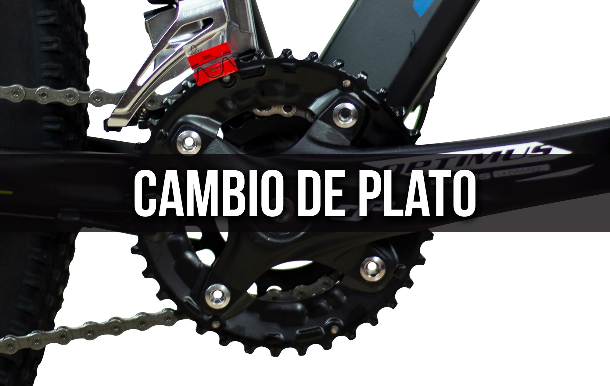 ¿CÓMO SABER SI ES TIEMPO DE CAMBIAR EL PLATO DE MI BICI?