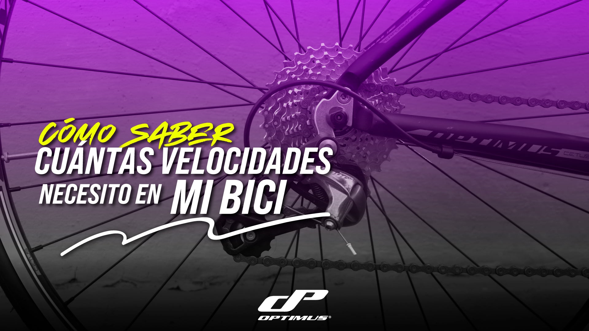 pacha y velocidades en rueda de mtb