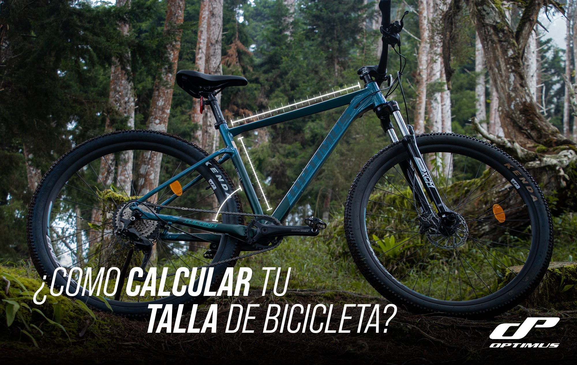 ¿SABES COMO CALCULAR TU TALLA DE BICICLETA?
