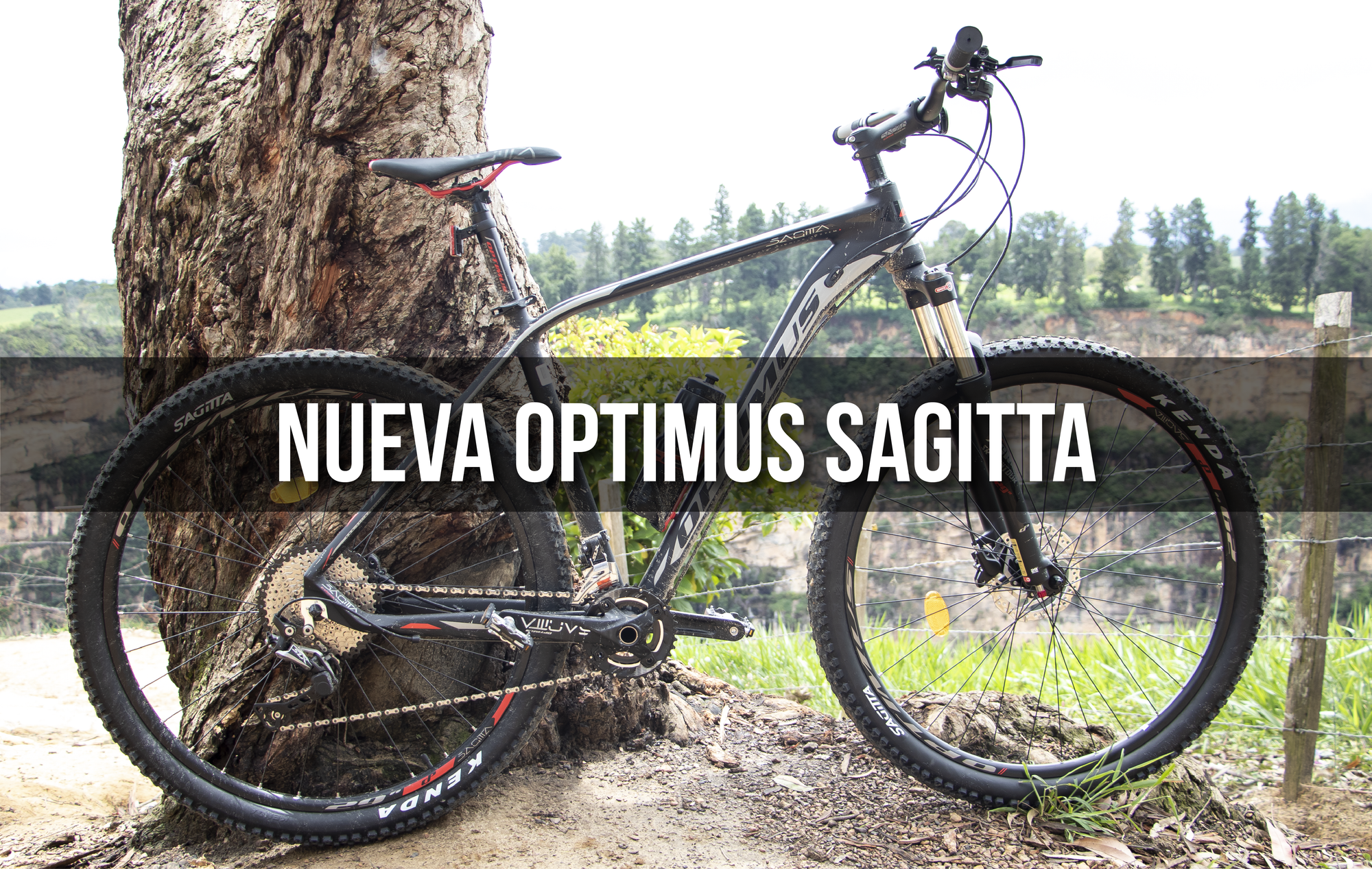 Descubre la nueva Optimus Sagitta Bicicletas de monta a