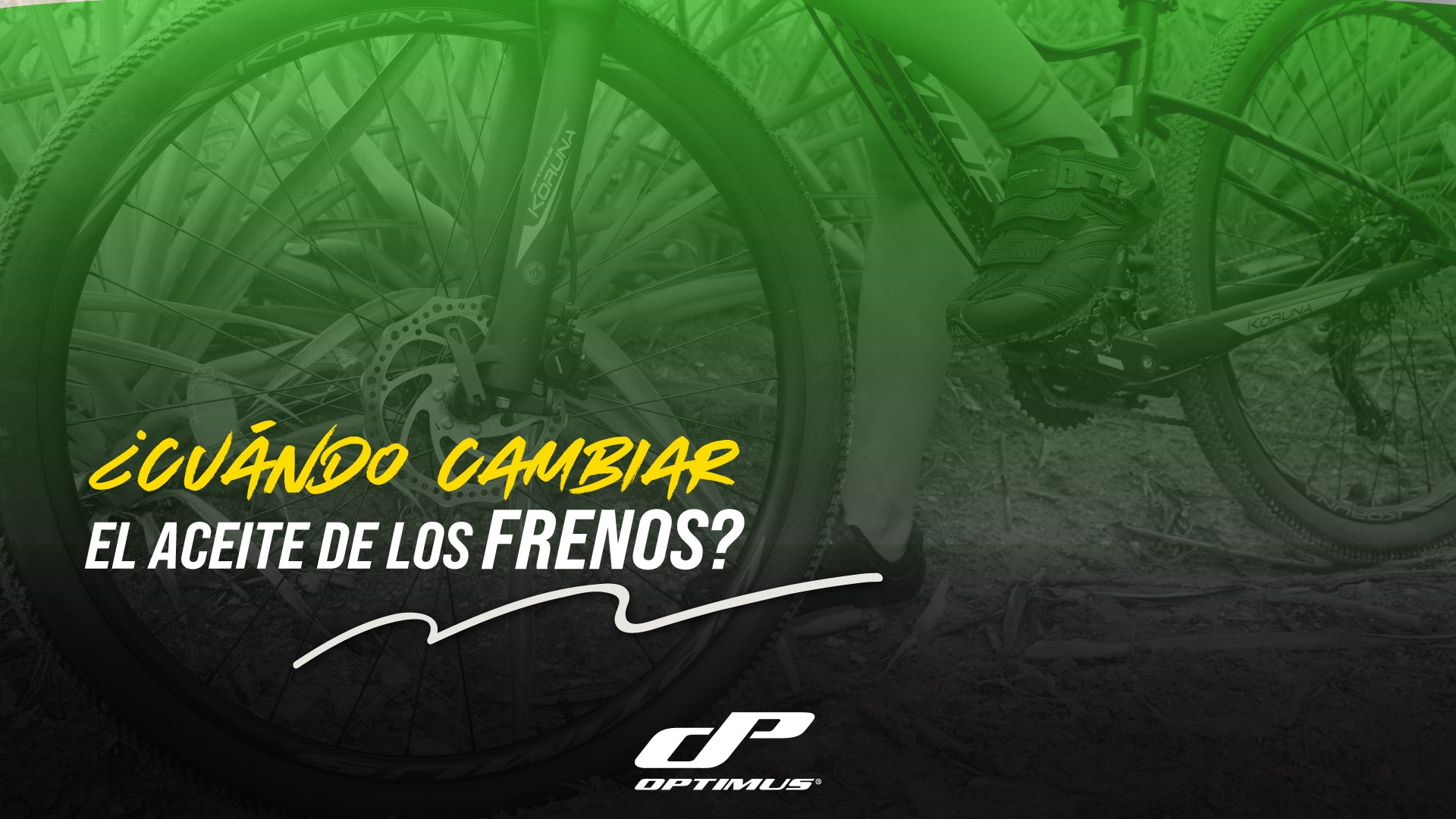 ¿CÓMO Y CUÁNDO CAMBIAR EL ACEITE DE LOS FRENOS DE TU BICI?