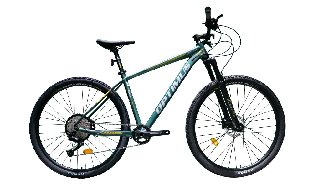 Bicicleta MTB Optimus Aquila Evo 13 velocidades