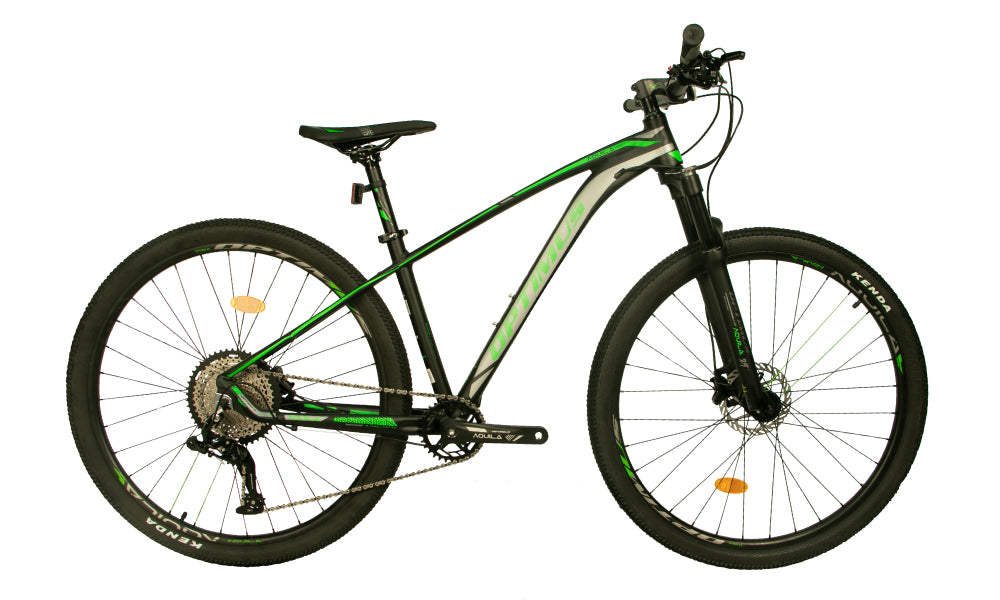 Bicicleta de MTB Aquila Max 13S Verde