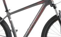marco Bicicleta de MTB carbono Tucana Pro gris